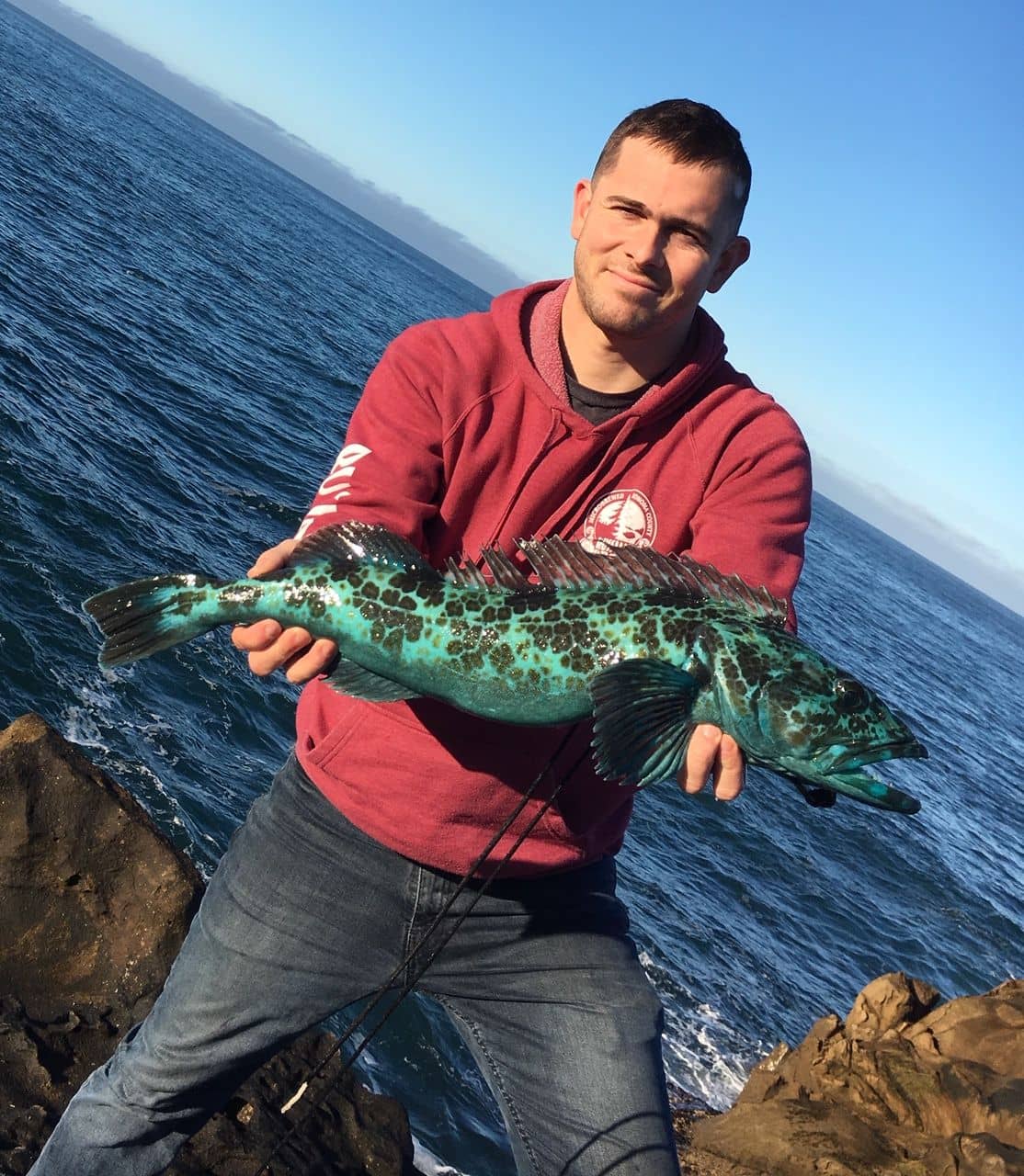 a fisherman holding a bright blue lingcod